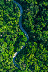 Road in the middle of the forest , road curve construction up to mountain, Rainforest ecosystem and healthy environment concept.	
