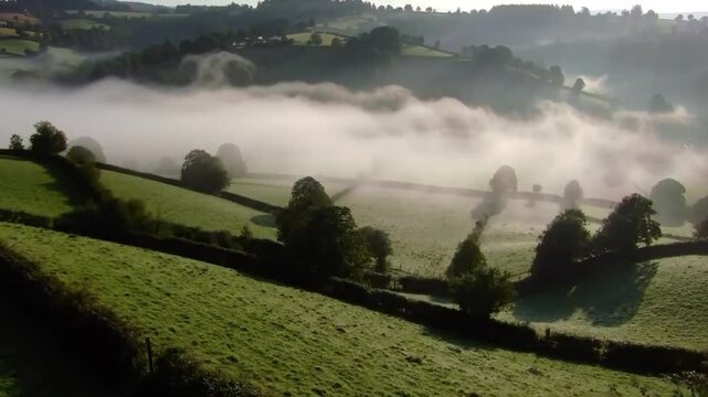Misty valley landscape with rolling hills and hedgerows