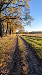 Naklejka premium Autumnal pathway through a field