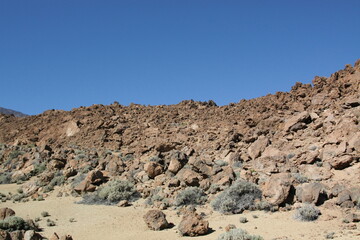 landscape of the desert
