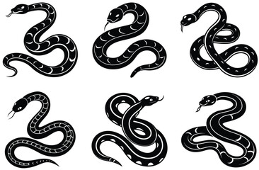 Fototapeta premium python vector sihouette