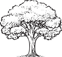 Fototapeta premium A detailed black-and-white illustration of a lush, full tree with intricate branches and leaves, showcasing natural beauty and fine line work, perfect for nature-themed designs, prints, or educational