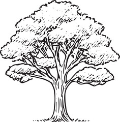 A detailed black-and-white illustration of a lush, full tree with intricate branches and leaves, showcasing natural beauty and fine line work, perfect for nature-themed designs, prints, or educational
