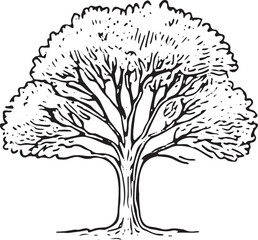 A detailed black-and-white illustration of a lush, full tree with intricate branches and leaves, showcasing natural beauty and fine line work, perfect for nature-themed designs, prints, or educational
