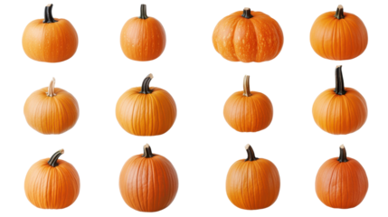 Set of bright orange pumpkins fresh harvest autumn gourds isolated on white background