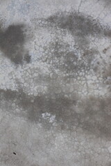 Close-up of a weathered and cracked concrete surface