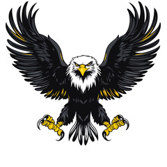 Majestic Eagle with Sharp Yellow Talons