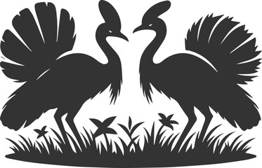 Vector bird cassowary black drawing animal silhouette