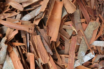 Cinnamon is a spice obtained from the inner bark of several tree species from the genus Cinnamomum. It is used mainly as an aromatic condiment and flavouring additive in a wide variety of cuisines