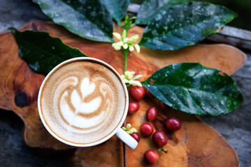 cappuccino coffee cup and red raw coffee with green leaves and coffee flowers wooden backgrounds,...