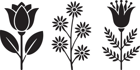 flower, bloom, petal, nature, spring, flora, blossom, garden, bud, botanical, scent, leaf, daisy, tulip, rose, lily, hibiscus, 