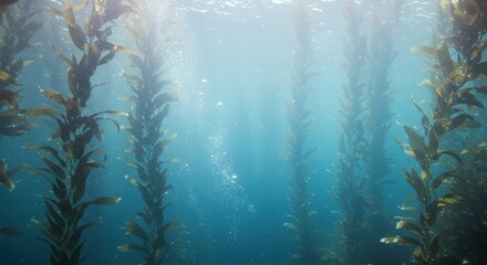 Sunlit kelp forest underwater columns of life rise from the ocean floor teeming with vibrancy