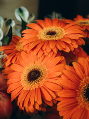 orange gerbera flower