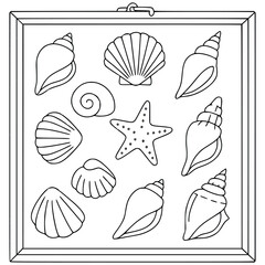 Seashell Collection in Shadow Box – Coastal Coloring Page for Kids and Teens
