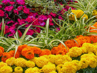 Buntes Blumenbeet