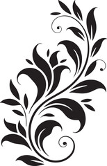 flower, bloom, petal, nature, spring, flora, blossom, garden, bud, botanical, scent, leaf, daisy, tulip, rose, lily, hibiscus, 