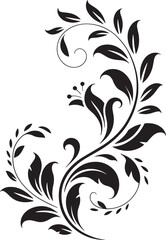 flower, bloom, petal, nature, spring, flora, blossom, garden, bud, botanical, scent, leaf, daisy, tulip, rose, lily, hibiscus, 