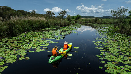 Travel Kayaking Paddling Transparent Canoe Kayak in peat swamp forest wetlands in mornine time,...