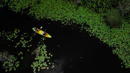 Travel Kayaking Paddling Transparent Canoe Kayak in peat swamp forest wetlands in mornine time,...