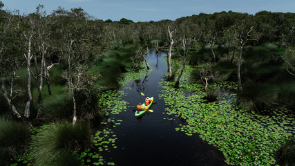 Travel Kayaking Paddling Transparent Canoe Kayak in peat swamp forest wetlands in mornine time,...