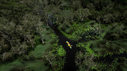 Travel Kayaking Paddling Transparent Canoe Kayak in peat swamp forest wetlands in mornine time,...