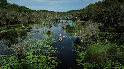 Travel Kayaking Paddling Transparent Canoe Kayak in peat swamp forest wetlands in mornine time,...