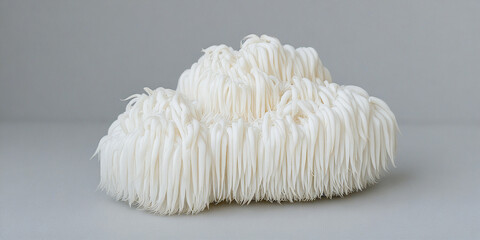 A сlose-up delicate white shaggy lion's mane mushrooms, displaying their characteristic long, flowing, icicle-like spines a soft gray background.