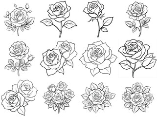 Roses outline vector illustration isolated on white background.