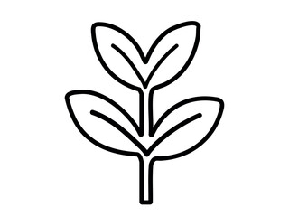 Black outline of young plant with leaves isolated on white background, graphic illustration. concept of seedling, sapling, nature, growth, botany, logo, eco-friendly design, minimalist art