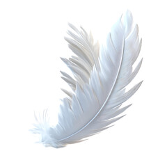 white feather ,isolated on transparent background png