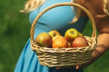 A blonde woman in a hat and a blue dress is walking in the garden with a basket of fruits