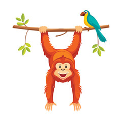 Fototapeta premium Orangutan Hanging with Blue Bird on Branch