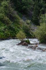 Vertical beautiful mountain landscape - a view of the turbulent flow of a mountain river against...