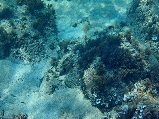 Calella de Palafrugell, Gerona, Cataluña, España