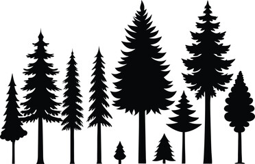 Obraz premium Silhouettes of evergreen trees in a forest setting 