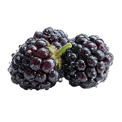 Close-up of two blackberries covered in water droplets.