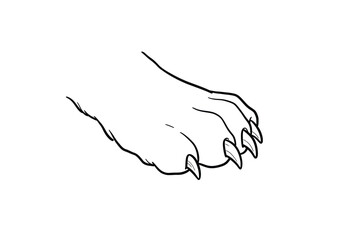 Lion paw drawing. It is a black and white outline image of a lion's powerful paw, showcasing its strong claws and pads. Vector sketch line art draw.