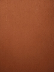 Clean matte terracotta wall background with soft vertical brush marks and natural light gradient fading across the frame this composition provides a neutral but warm mood with full