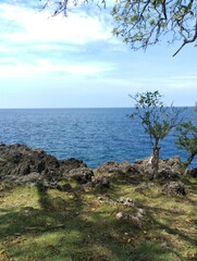 Obraz premium The seaside view with rocks and small trees in front, the blue sea behind, and the clear sky with few clouds, creates a calm and natural atmosphere.