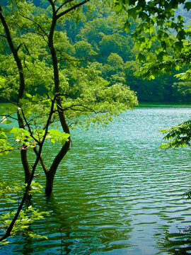 Juni-ko, beautiful twelve lakes, a part of Shirakami-sanchi in Aomori, Japan