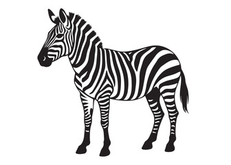 black zebra logo vector silhouette, zebra logo icon silhouette, zebra silhouette vector illustration, zebra silhouette vector logo on white background