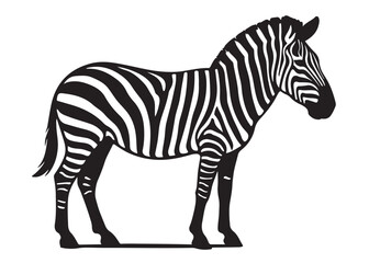 black zebra logo vector silhouette, zebra logo icon silhouette, zebra silhouette vector illustration, zebra silhouette vector logo on white background