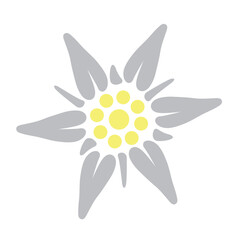 The colored Edelweiss icon. A rare mountain flower growing in the Alps. The symbol of Austria and Bavaria. Vector illustration for design and web.