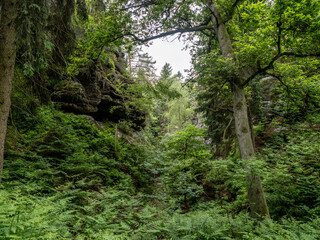 Elbsandsteingebirge
