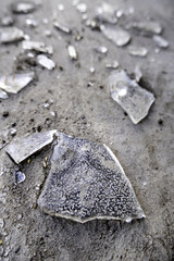 Broken glass on the floor