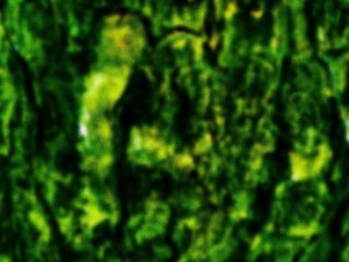 THE BEAUTY OF ABSTRACT ARTISTIC SURFACE TEXTURE	