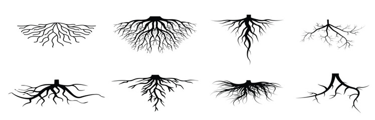  black tree roots set vector line illustration plants garden.