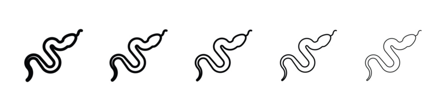 Snake icon logo in stroke lines collection
