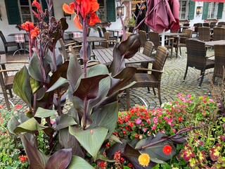 Regentag im Herbst in Oberammergau in den Bayerischen Alpen