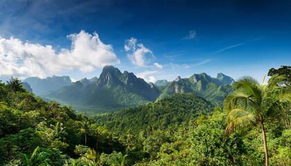 tropical forest and mountains under blue sky